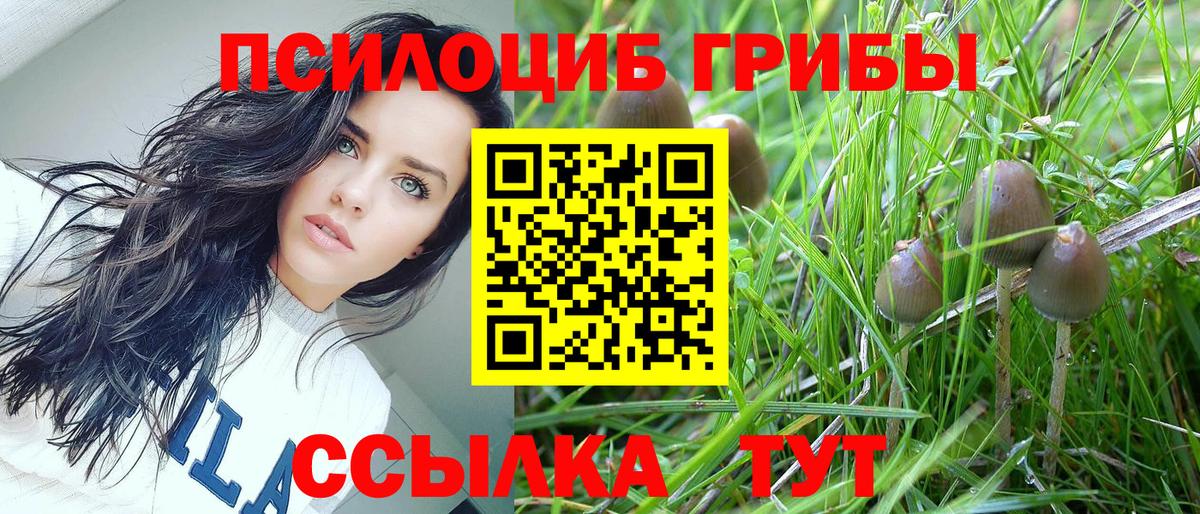 Псилоцибиновые грибы ЛСД  Вход с VPN  Кунгур 